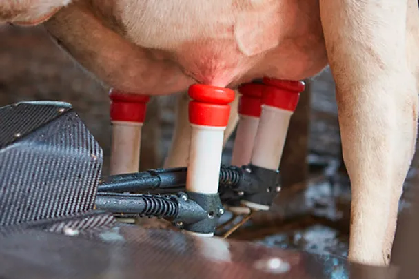 HWS_Melkroboter_074_rdax_439x329 HWS_Melkroboter_074_rdax_439x329