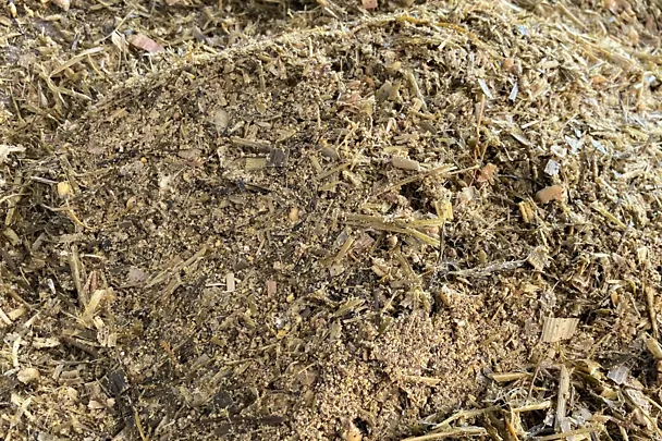 Ergebnis Schaufeltest