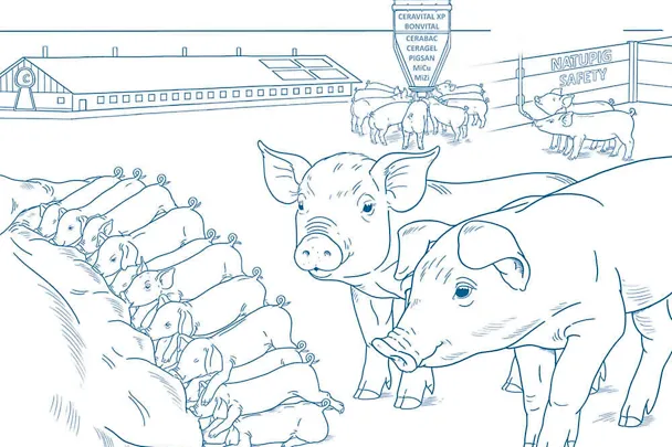 odgoj prasadi sa SCHAUMANN-konceptom odgoj prasadi sa SCHAUMANN-konceptom