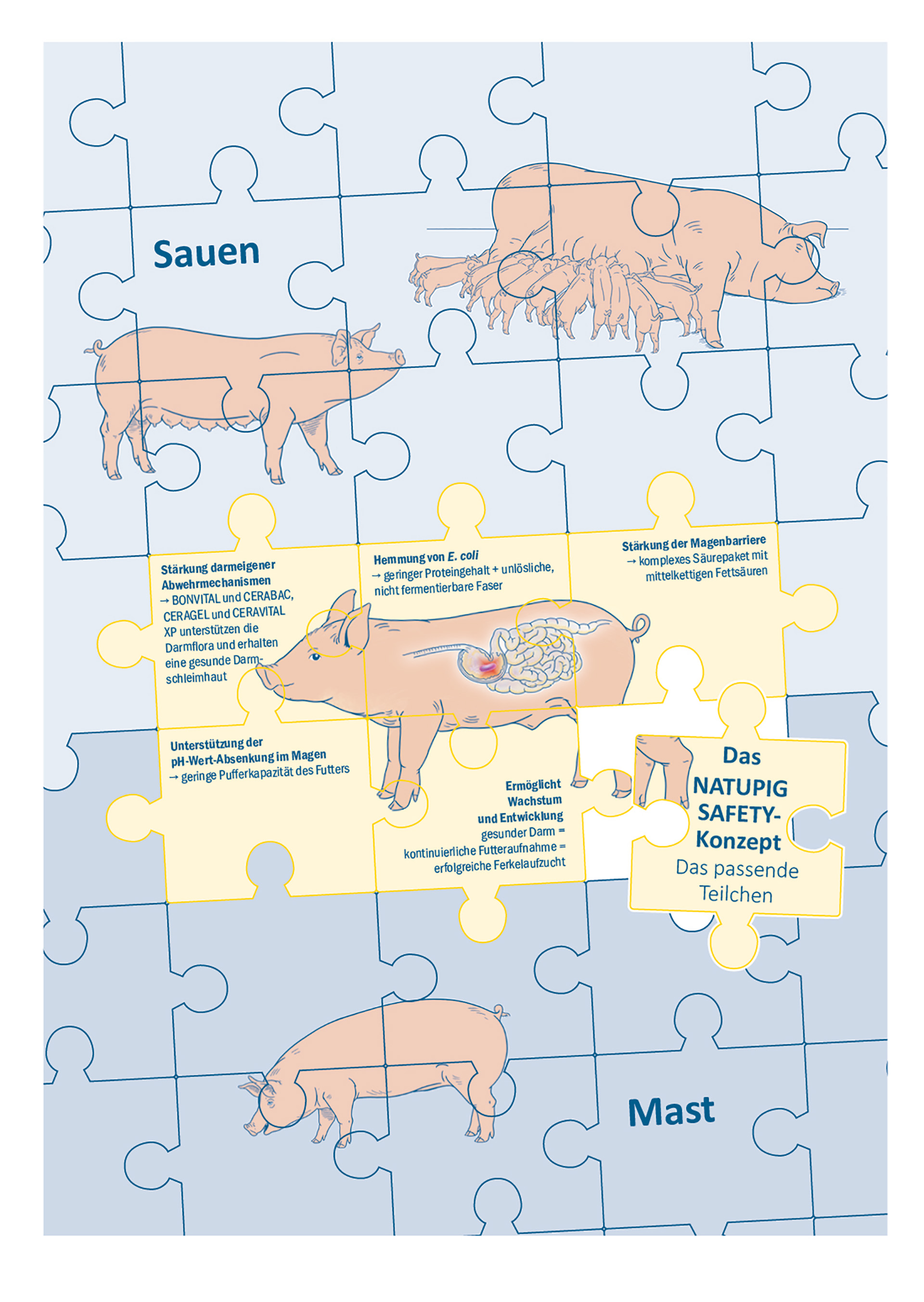 Die NATUPIG Safety-Linie unterstützt das Ferkel