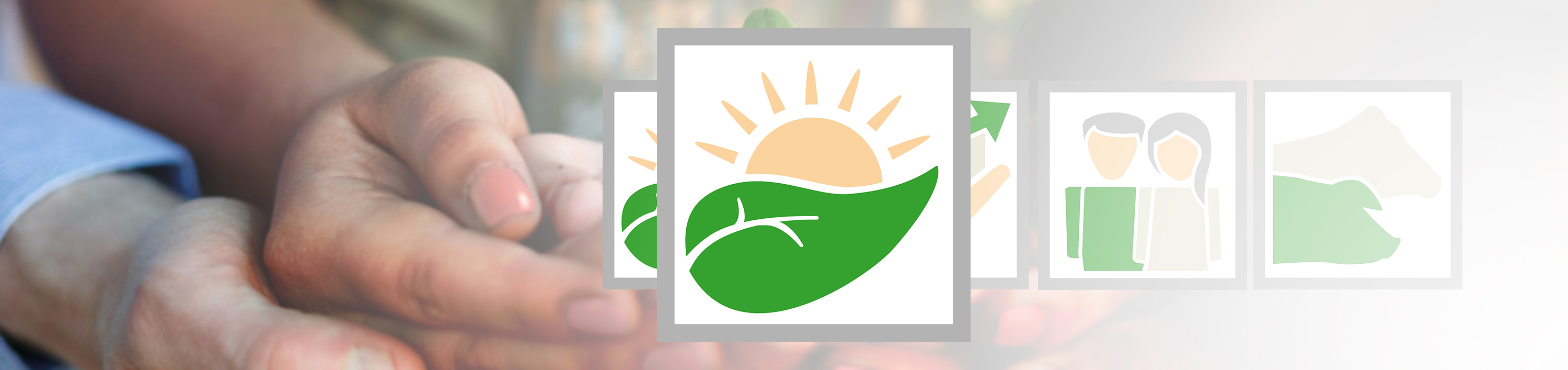 de_fot_54706135_haende_nachhaltigkeit_icons_euk_3000x710px